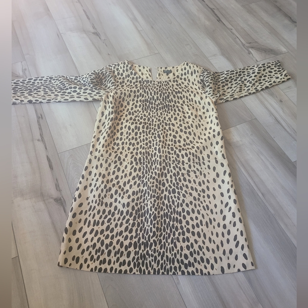 J Crew Leopard Print Dress